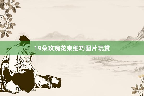 19朵玫瑰花束细巧图片玩赏