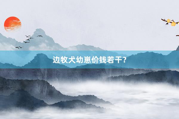 边牧犬幼崽价钱若干？